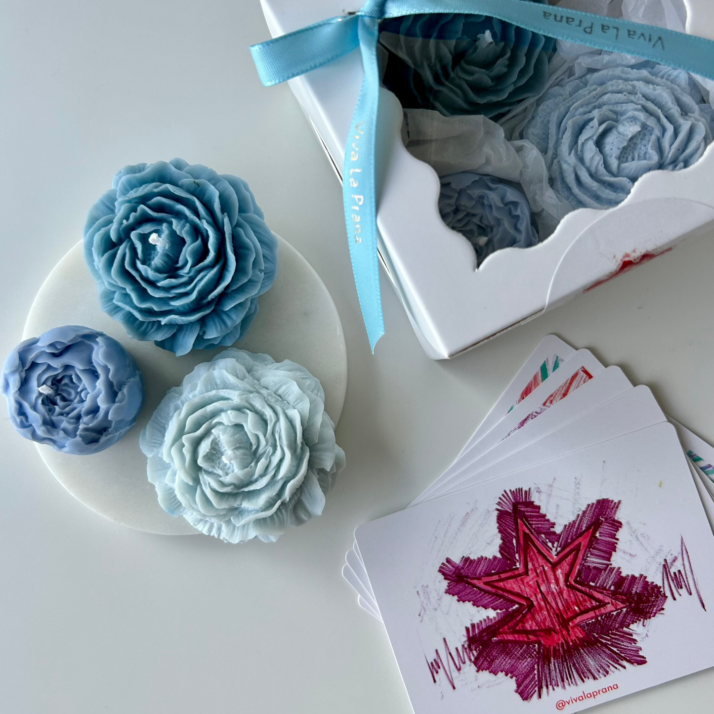 Whispering Peonies