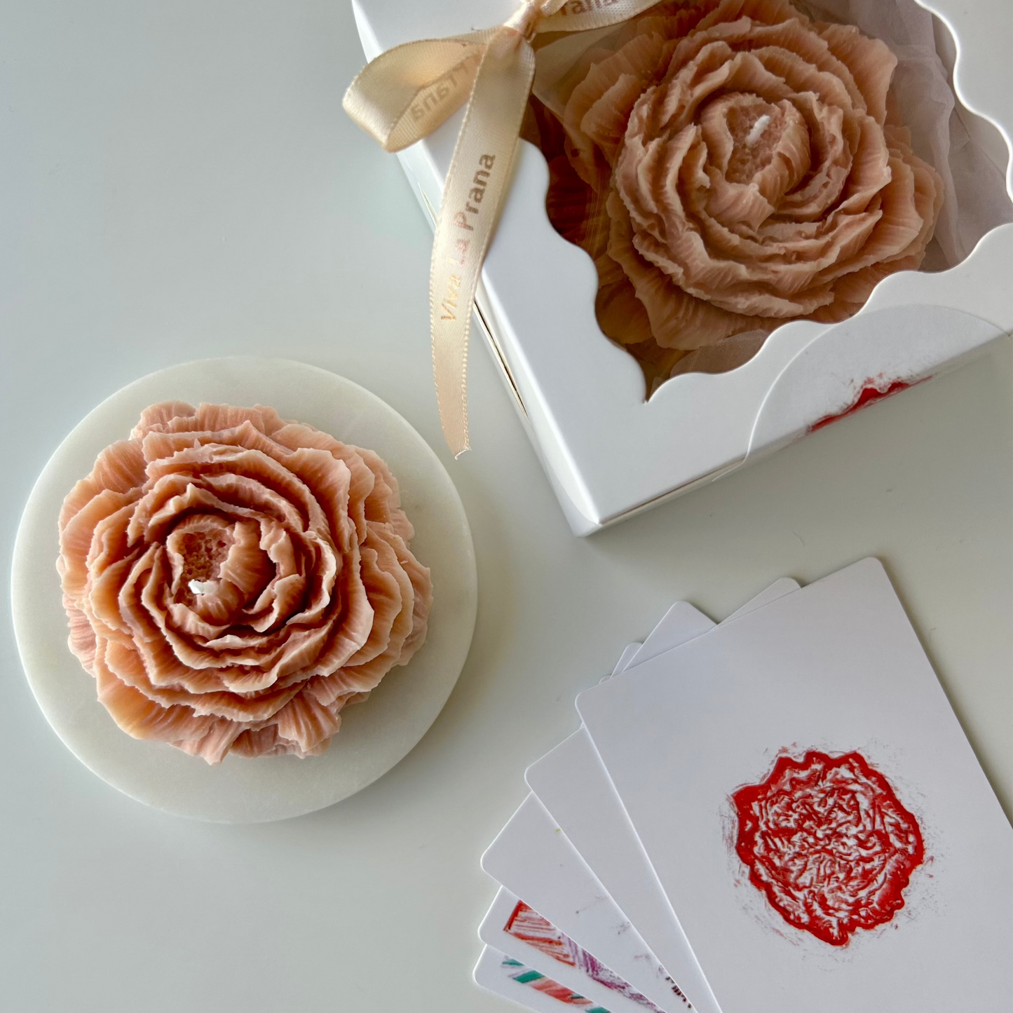 Royal Peony